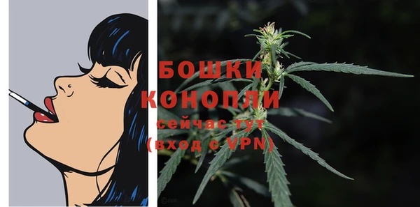 твердый Лабытнанги