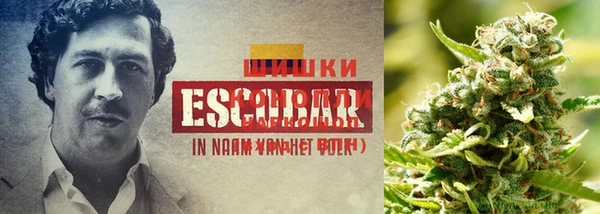 дурь Ладушкин