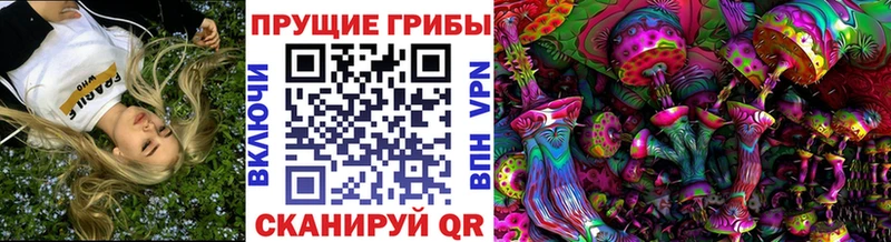 Псилоцибиновые грибы мицелий  где можно купить наркотик  Мещовск 